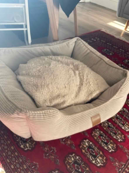 Photo of free Medium dog bed (WA12) #1