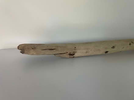 Photo of free Driftwood Stick Branch Bar (Berkeley) #2