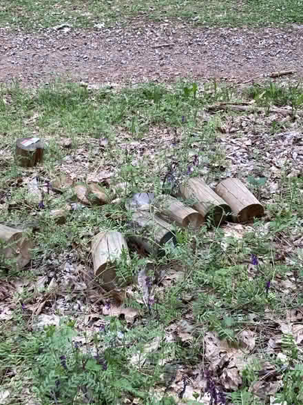 Photo of free Garden bed edging? wood pole ends (Brunswick/Glenwood Basin) #2