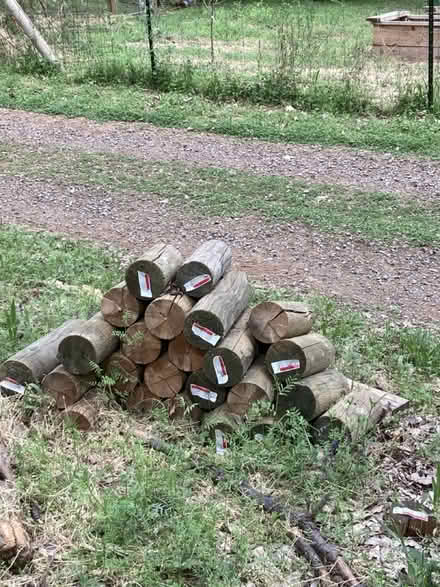 Photo of free Garden bed edging? wood pole ends (Brunswick/Glenwood Basin) #1