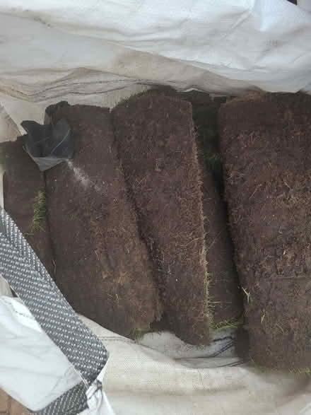 Photo of free High Quality Lawn Grass / Turf (Havering - RM3) #1