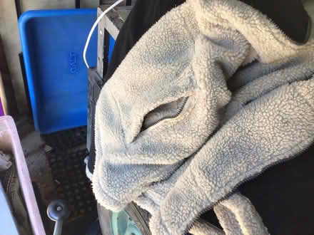 Photo of free Winter coat (California IP4) #3