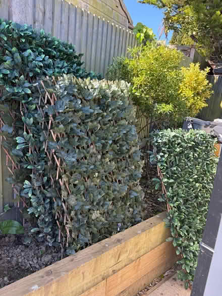 Photo of free 7 used Expandable Artificial Trellis Ivy Leaf (Burgess Hill RH15) #1