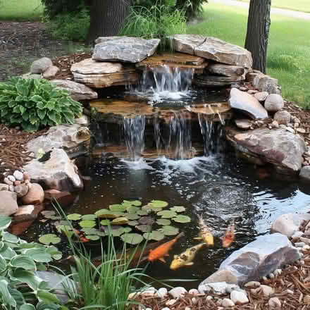 Photo of Pond liner (Weston BA1) #1