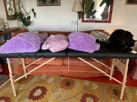 Photo of free Massagebeds throws pillows covers earplugs eyemasks (Old Radnor LD8) #1