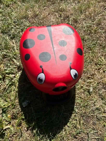 Photo of free My carry potty ladybird (Teddington TW11) #1