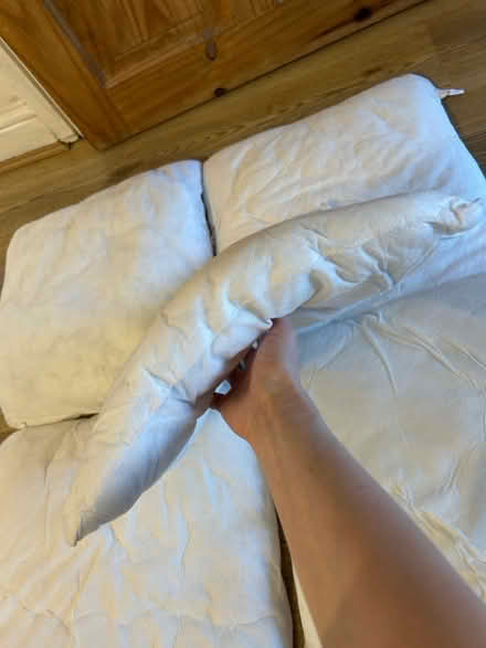 Photo of free 5 x cushions (Cheshunt EN7) #3