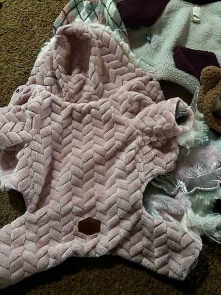 Photo of free Small dog items (Loganville) #3