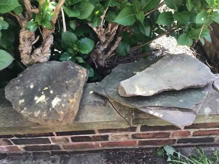 Photo of free Rockery stone (Banner Cross S11) #4