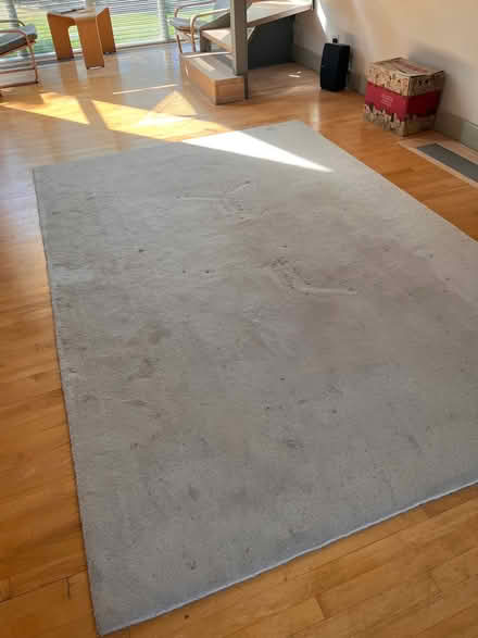 Photo of free Cream wool rug 3m x 2m (Thundridge SG12) #1