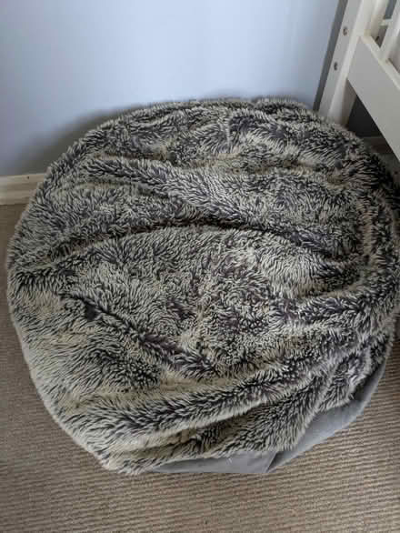 Photo of free Beanbag Dog Bed (New Marston OX3) #1