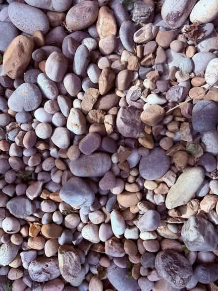 Photo of free Stones for garden (Ashingdon SS4) #1