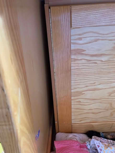 Photo of free Cabin storage bed (single) (Lifford, kings Norton B30) #2
