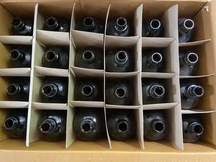 Photo of free Glass bottles 16 oz (83 (Catonsville) #2