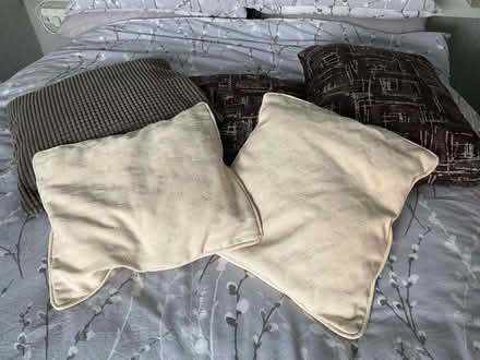 Photo of free Assorted cushions (Woodley SK6) #1