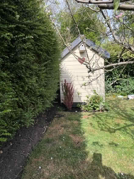 Photo of free Small cottage (Welwyn Garden City) #2