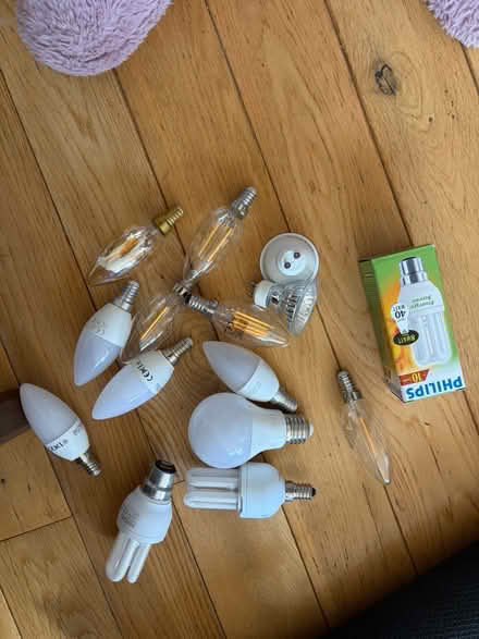 Photo of free Light bulbs (Dennistoun G31) #1
