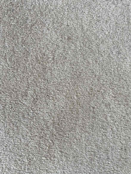 Photo of free Carpet. 7m x 4m. (Bucknell SY7) #1