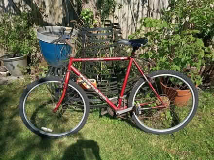 Photo of free Vintage red bike (Buxted TN22) #1