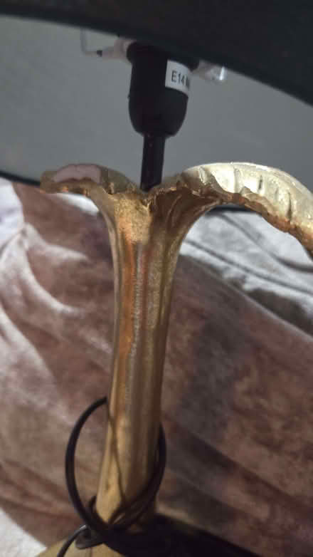 Photo of free 2 lamps (Fleetwood FY7) #4