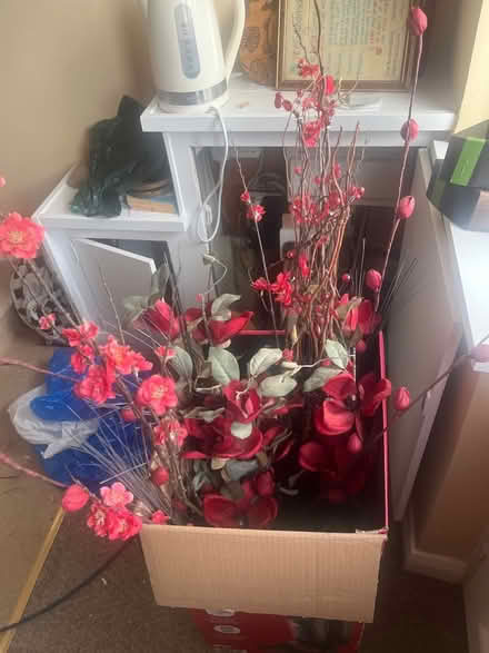 Photo of free Large red flowers (Penrith CA11) #1