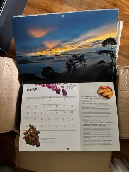 Photo of free calendars for art projects (Elephant / Walworth - SE17) #3