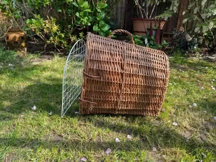 Photo of free Cat basket (Teddington) #1