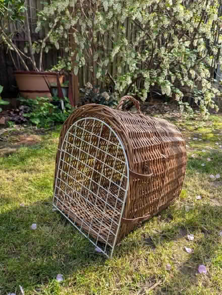 Photo of free Cat basket (Teddington) #3