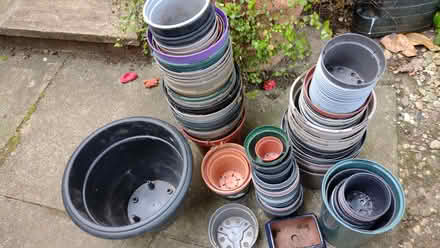 Photo of free A selection of plastic plant pots & 4 seed trays- you choose (Summertown OX2) #1