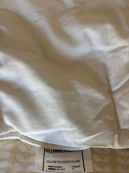 Photo of free used double duvet (SE24) #3