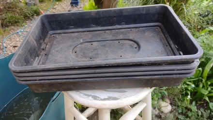 Photo of free A selection of plastic plant pots & 4 seed trays- you choose (Summertown OX2) #2