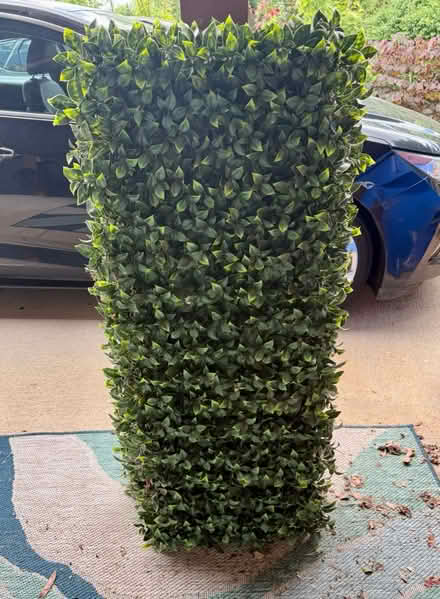 Photo of free Expandable Faux Ivy Privacy Screens (North Asheville) #1