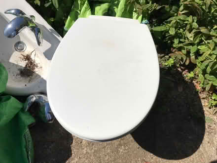 Photo of free Sink and toilet vintage (Gresford LL12) #3
