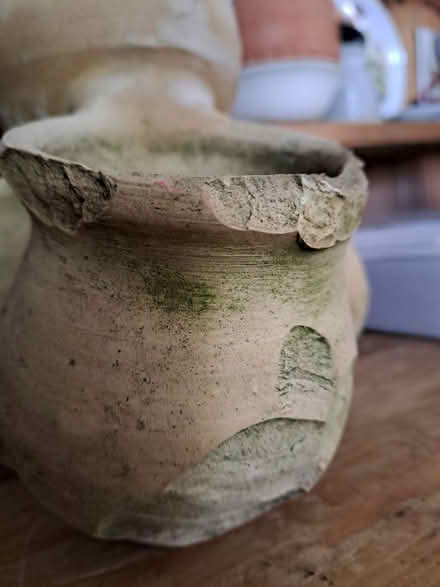 Photo of free 4 pot plant pottery (Cambridge CB4) #3