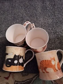 Photo of free 4 cat themed cups 20874 #1
