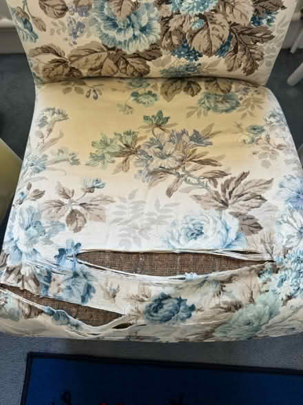 Photo of free Cute, low chair (Eastbourne BN22) #2