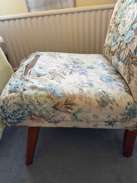 Photo of free Cute, low chair (Eastbourne BN22) #3