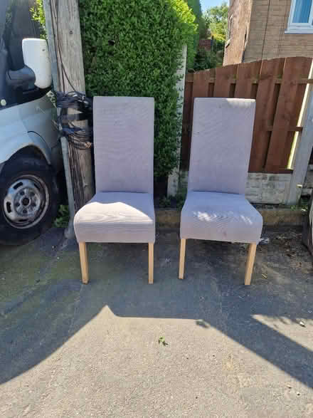 Photo of free 2 dining chairs (Manorpark S2) #1
