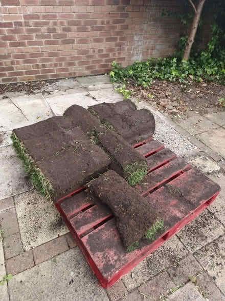 Photo of free Turf rolls (Eccleston WA10) #1