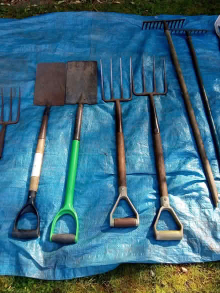 Photo of free Allotment stuff (Taverham NR8) #1