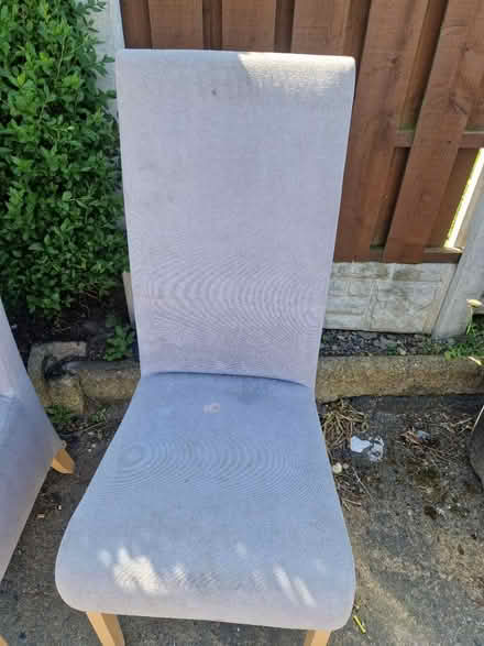 Photo of free 2 dining chairs (Manorpark S2) #3