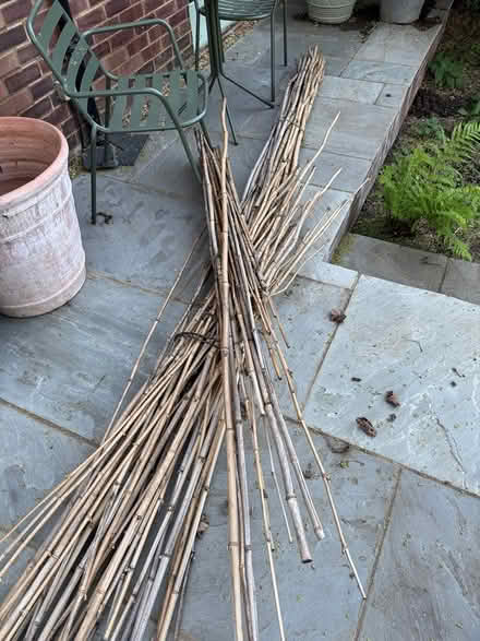 Photo of free Bamboo canes (west hitchin sg5 2he) #1