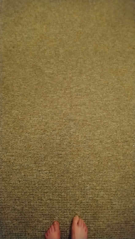Photo of free Carpet (Ballynafoy BT6) #2