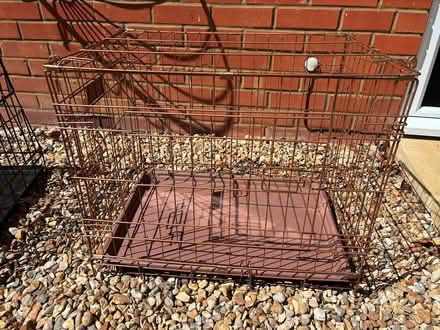 Photo of free Dog cage (Hindhead GU26) #1