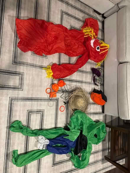 Photo of free Kids Halloween costumes (Arlington) #1