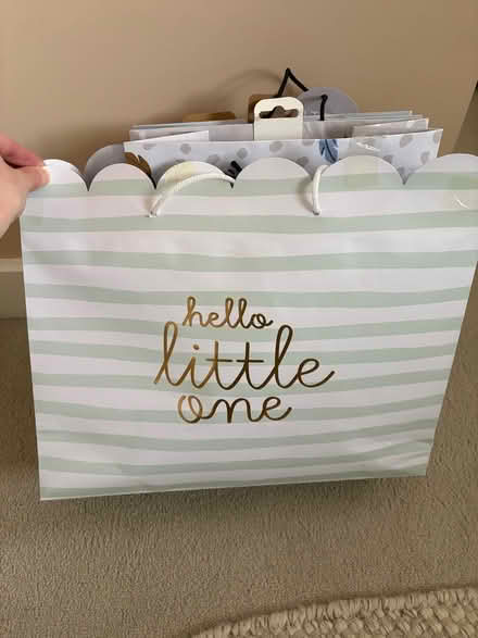 Photo of free Baby gift bags (Bishops Tachbrook CV33) #1