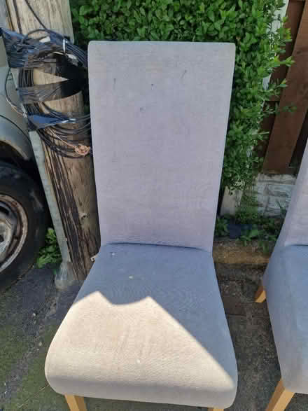 Photo of free 2 dining chairs (Manorpark S2) #2