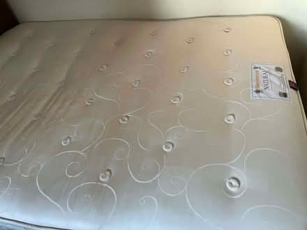 Photo of free 1 double bed and mattress (South Bermondsey SE15) #2