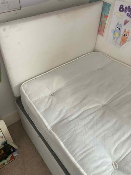 Photo of free Small single divan bed base (Shoreham BN43) #3