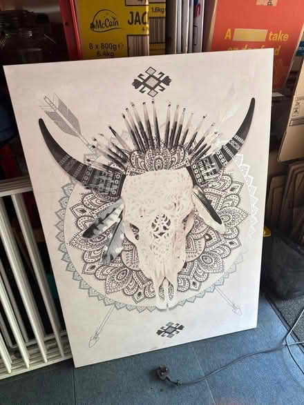 Photo of free Canvas picture of a cowskull (Badshot Lea GU11) #1